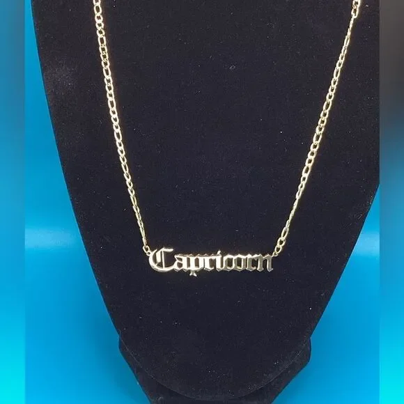 ⭐️🌙Capricorn Zodiac Nameplate on 14k Gold plated Figaro Chain⭐️🌙